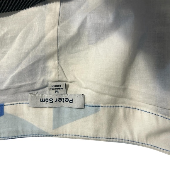 Anthropologie Blue and White Maxi Dress - Picture 12 of 12